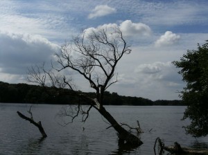 Jezioro Rusałka Poznań