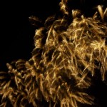 Atłasy na niebie - nierealne - Ognie sztuczne Szczecin - festiwal