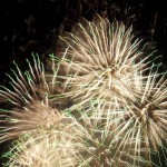 Kwiaty -nierealne - Ognie sztuczne Szczecin - festiwal