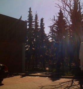 za_plotem_aldiego_biedronka