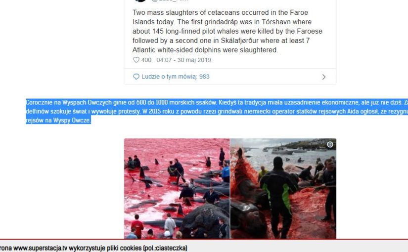 Gdzie obrońcy środowiska, zieloni i inni ekolodzy? Masakra delfinów.